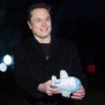 Elon Musk Calls Social Security a Ponzi Scheme as He Destroys the U.S. Government