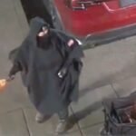 Masked Person Allegedly Threw Molotov Cocktails at Oregon Tesla Dealership